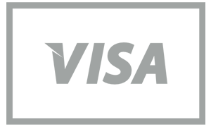 Visa dankort betaling